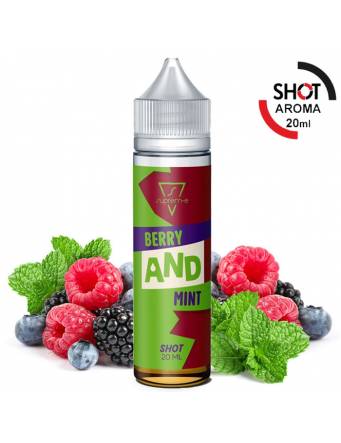 Suprem-e AND - BERRY AND MINT 20ml aroma Shot Fruit lp